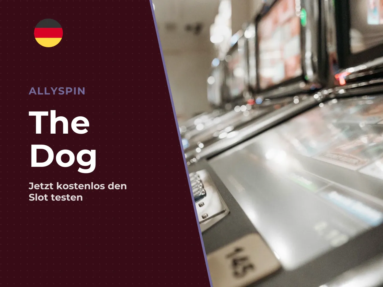 The Dog House in 30 Sekunden