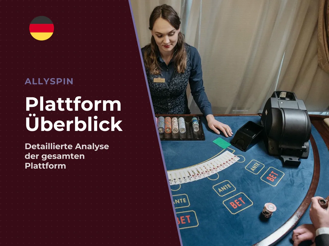 Fazit der Redaktion. Allyspin Bet ist